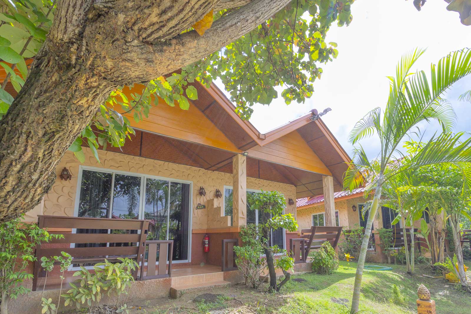 Bungalow terrace with wooden benches under a large tree