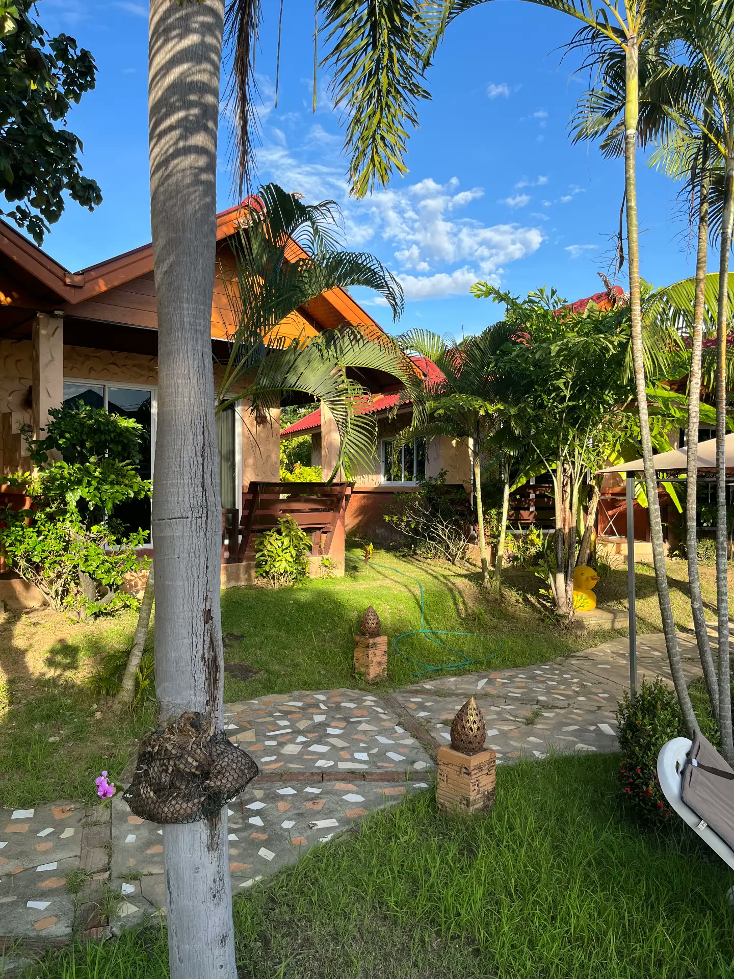 Garden path between bungalows under tall palms