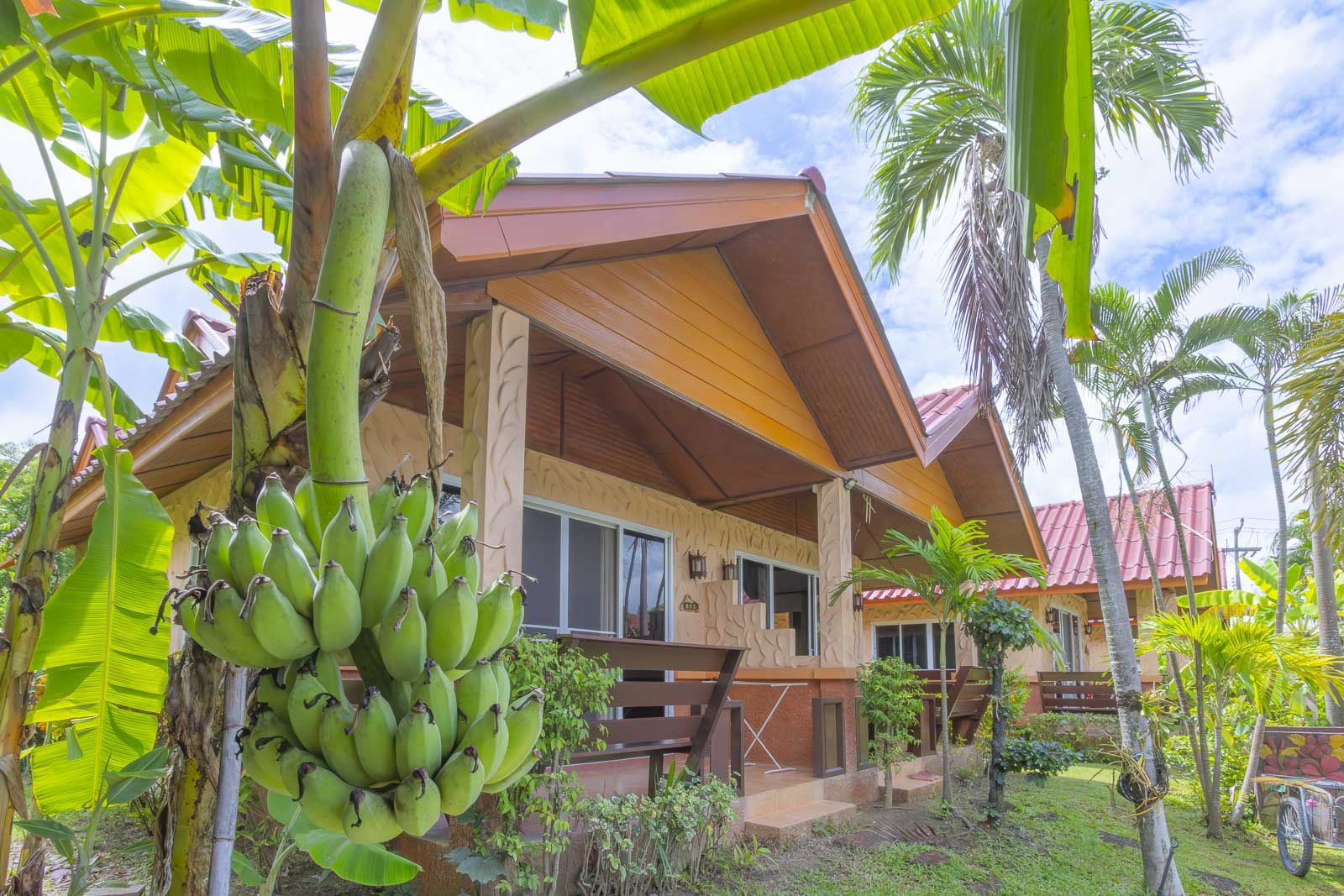 Bungalow behind banana palms in the resort garden