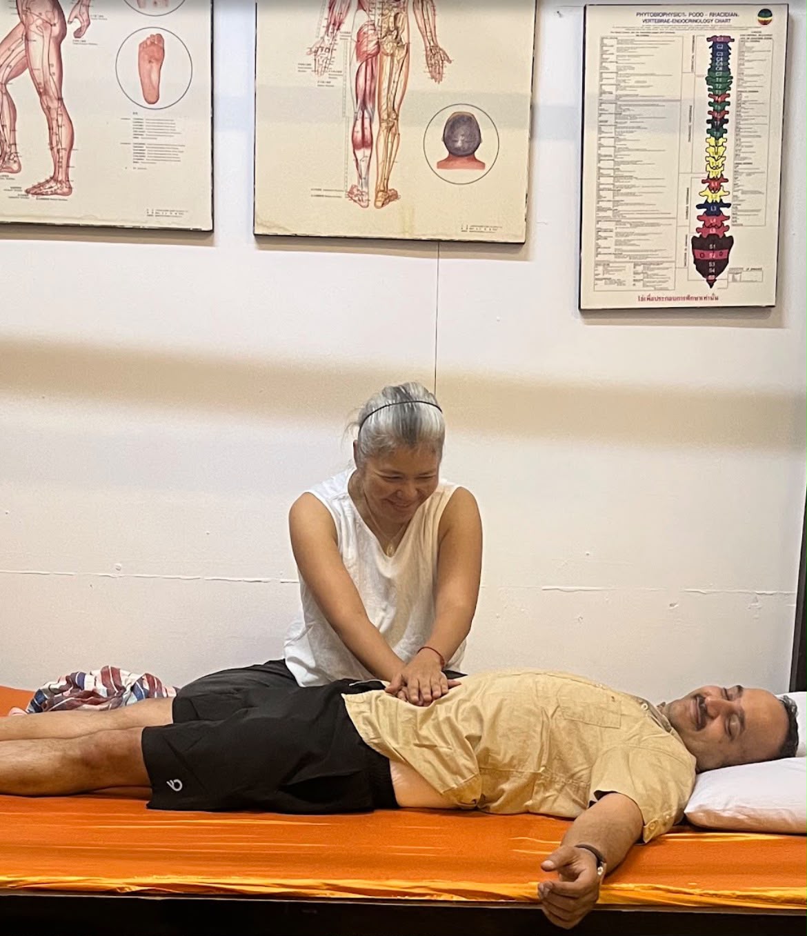 Dr. Nooy working with a client in the treatment room