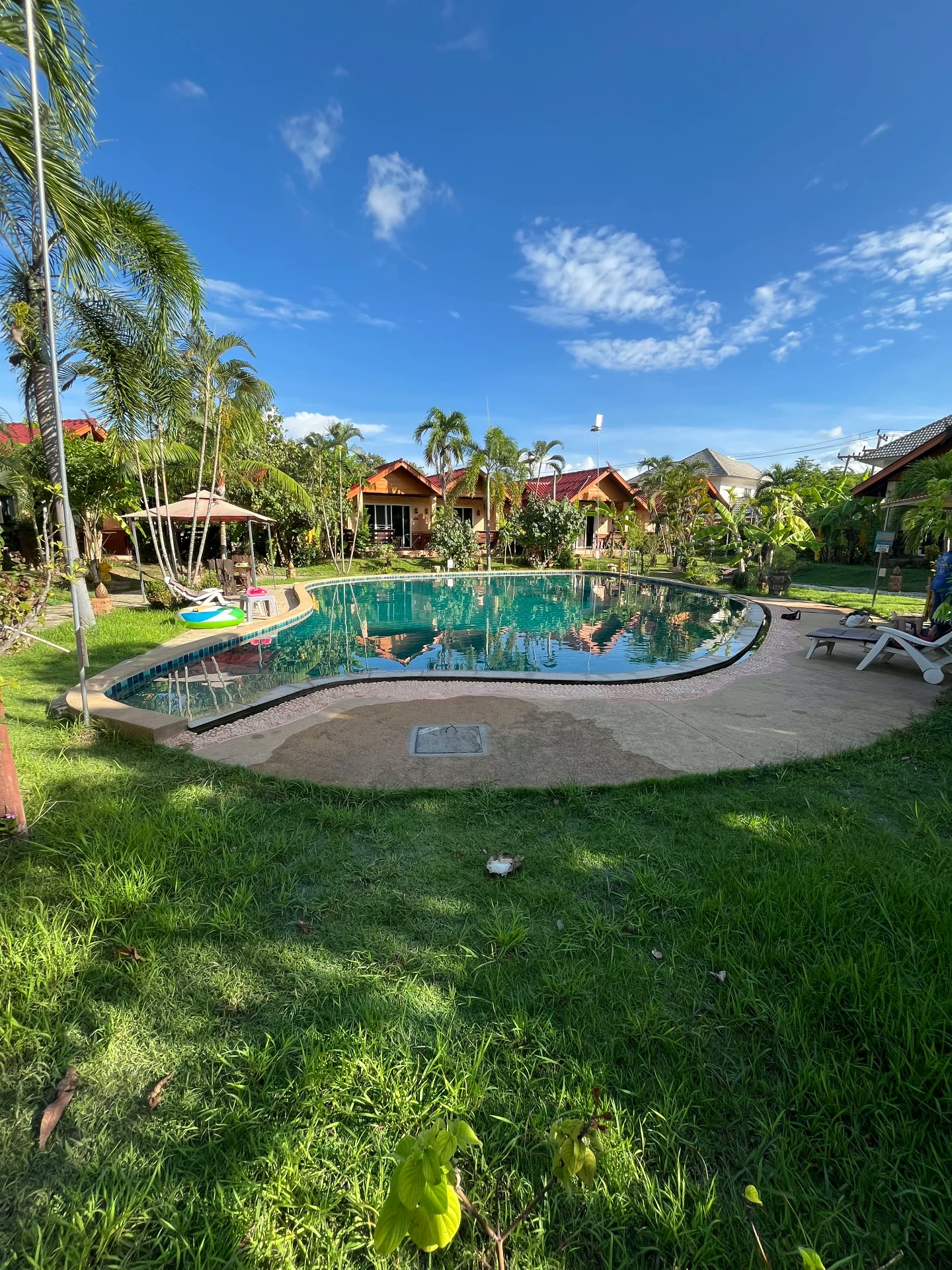 Wide view of the pool and lawn on a sunny day